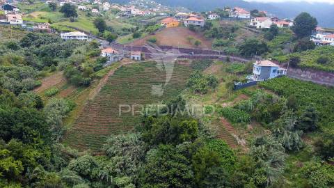 Terreno urbanizável com 3.560m2 - santana - ilha da madeira