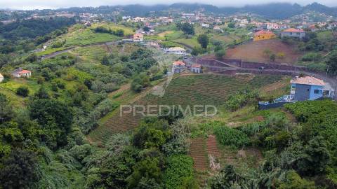 Terreno urbanizável com 3.560m2 - santana - ilha da madeira
