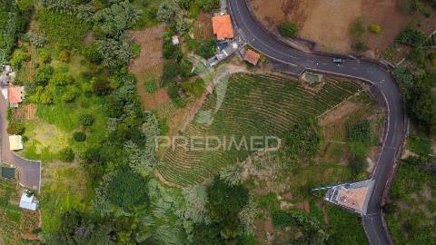 Terreno urbanizável com 3.560m2 - santana - ilha da madeira