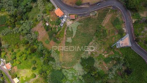 Terreno urbanizável com 3.560m2 - santana - ilha da madeira