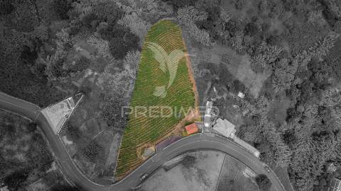 Terreno urbanizável com 3.560m2 - santana - ilha da madeira