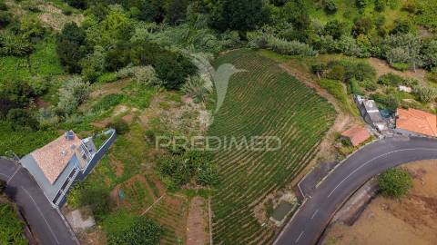 Terreno urbanizável com 3.560m2 - santana - ilha da madeira