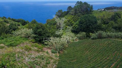 Terreno urbanizável com 3.560m2 - santana - ilha da madeira