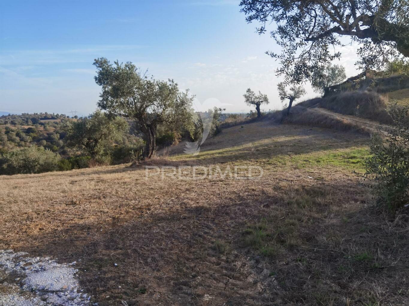 Terreno rústico, são vicente do paúl