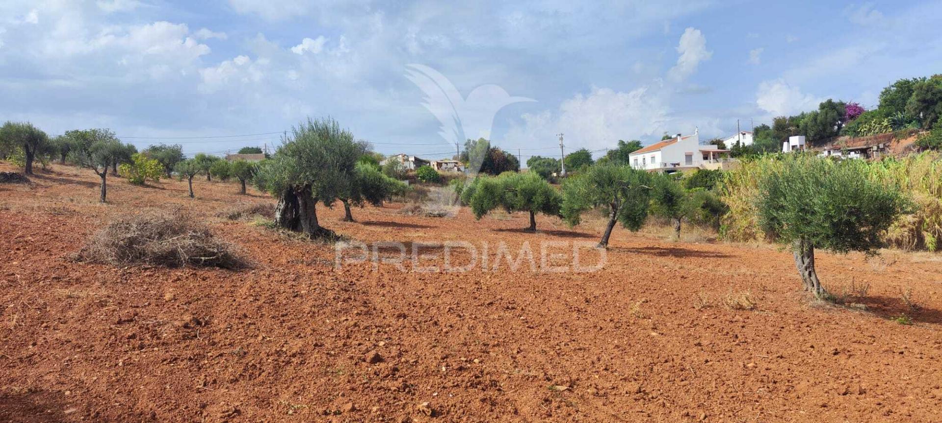 Terreno misto com projeto aprovado