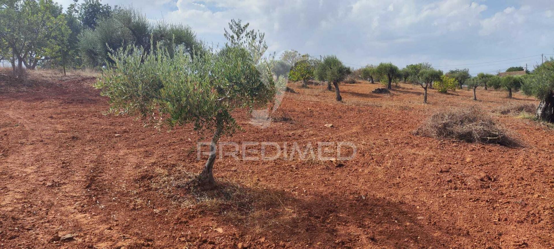 Terreno misto com projeto aprovado