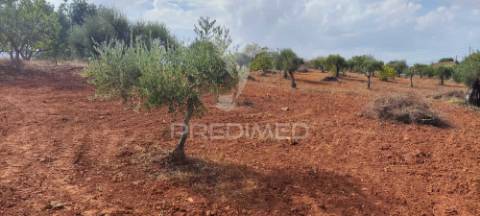 Terreno misto com projeto aprovado