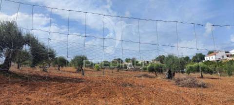 Terreno misto com projeto aprovado
