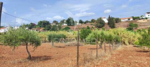 Terreno misto com projeto aprovado