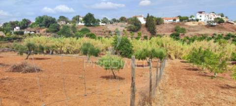 Terreno misto com projeto aprovado