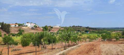 Terreno misto com projeto aprovado