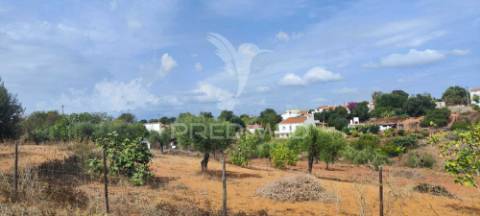 Terreno misto com projeto aprovado