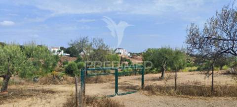 Terreno misto com projeto aprovado