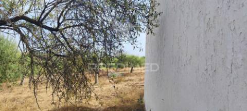Terreno misto com projeto aprovado