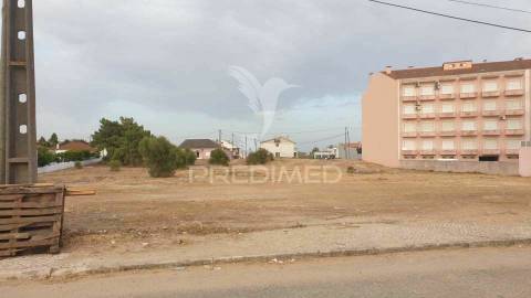 Dois terrenos para construção pinhal novo
