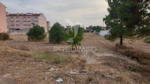 Dois terrenos para construção pinhal novo
