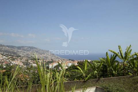 Quinta para remodelar no funchal - ilha da madeira