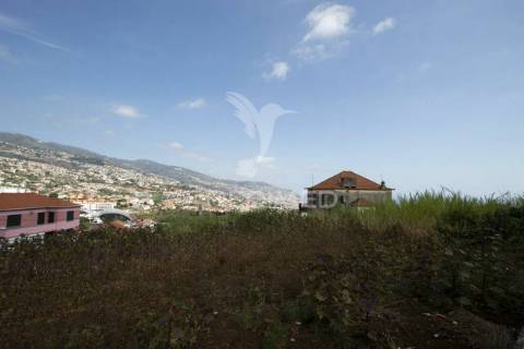 Quinta para remodelar no funchal - ilha da madeira