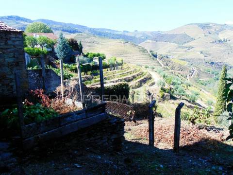 Moradia geminada em vale mendiz - pinhão