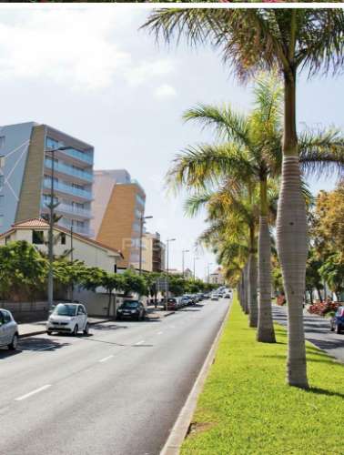 T3 na estrada monumental