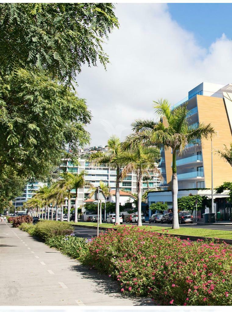 T3 na estrada monumental