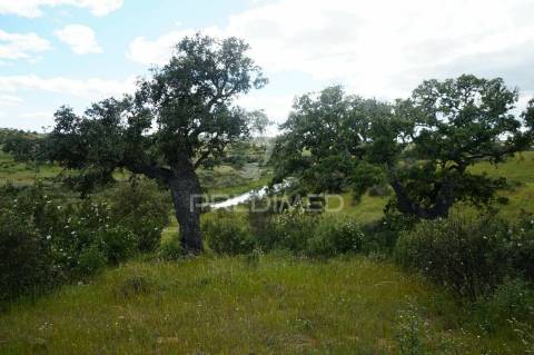 Casa para reconstruir em aldeia alentejana