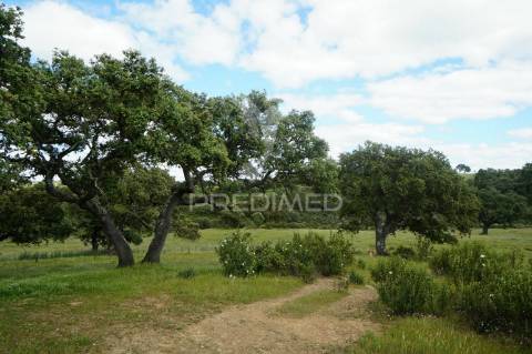 Casa para reconstruir em aldeia alentejana