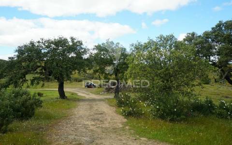 Casa para reconstruir em aldeia alentejana