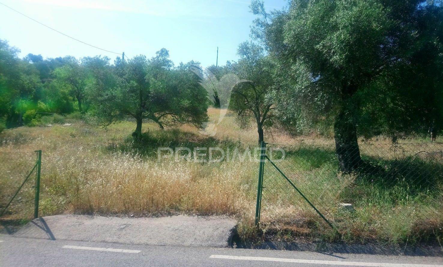 Terreno rustico -santo estevão-tavira