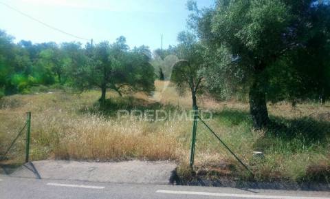 Terreno rustico -santo estevão-tavira