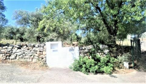 Terreno rustico -santo estevão-tavira