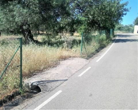 Terreno rustico -santo estevão-tavira