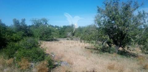Terreno rustico -santo estevão-tavira