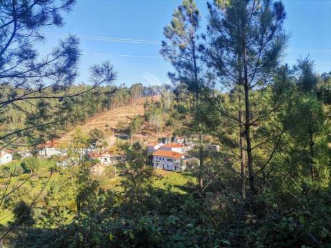 Moradia renovada em vale serrão, dornes
