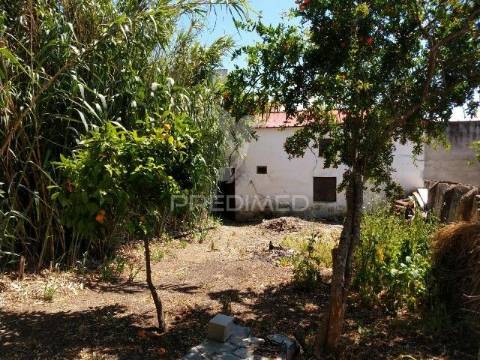 Duas casas em casa branca, sousel