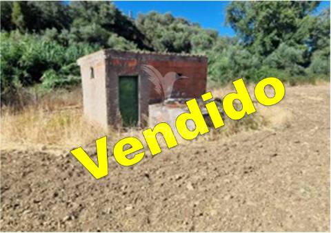 Terreno rustico - torrão