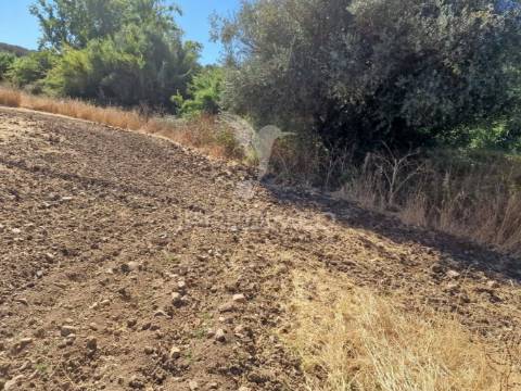 Terreno rustico - torrão