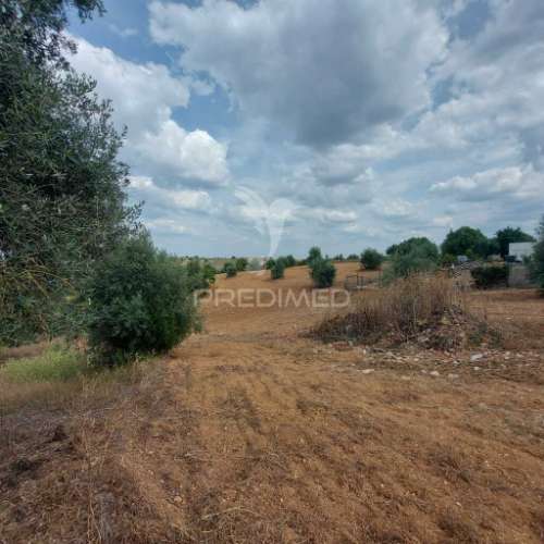 Terreno rústico com viabilidade em abitureiras, santarém.