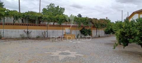 Quinta no alto alentejo - portalegre