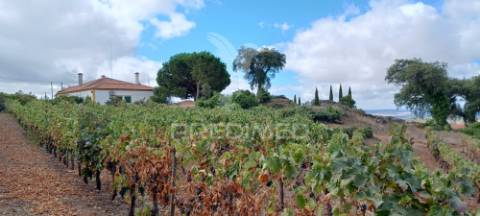 Quinta no alto alentejo - portalegre