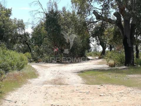 Terreno rústico em montalvão
