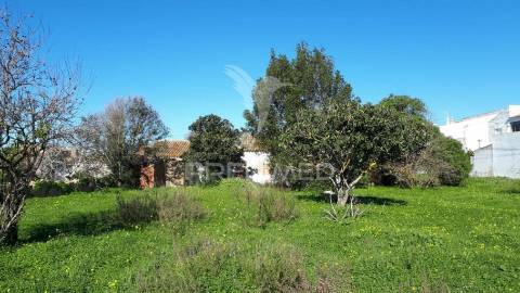 Ruína em lote de terreno inserido em zona urbana, tunes