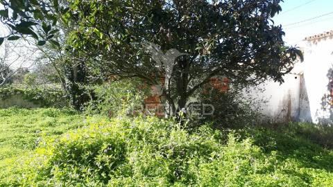 Ruína em lote de terreno inserido em zona urbana, tunes