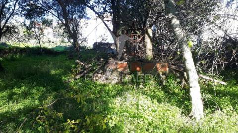Ruína em lote de terreno inserido em zona urbana, tunes