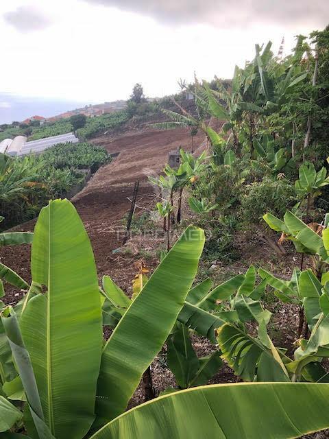 Terreno na ponta do sol (5.100m2)