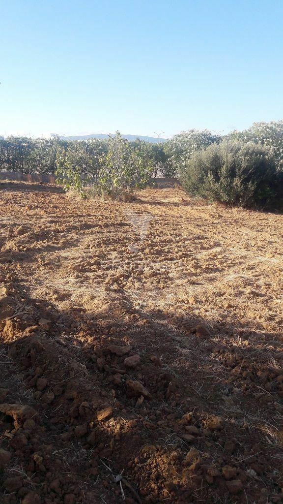 Terreno urbano com viabilidade para construir moradias ou condomínio privado