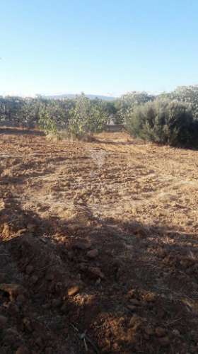 Terreno urbano com viabilidade para construir moradias ou condomínio privado