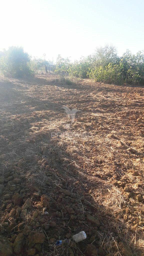 Terreno urbano com viabilidade para construir moradias ou condomínio privado