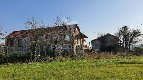 Quinta com 3 hectares com duas moradias.