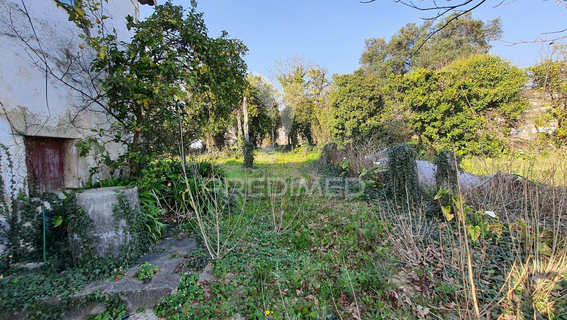 Quinta com 3 hectares com duas moradias.